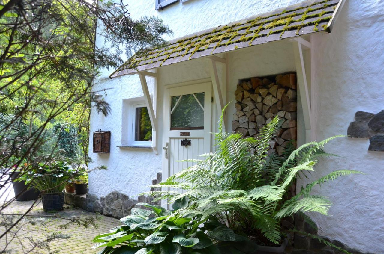 Birgits Landhaus Willingen Willingen  Exterior foto